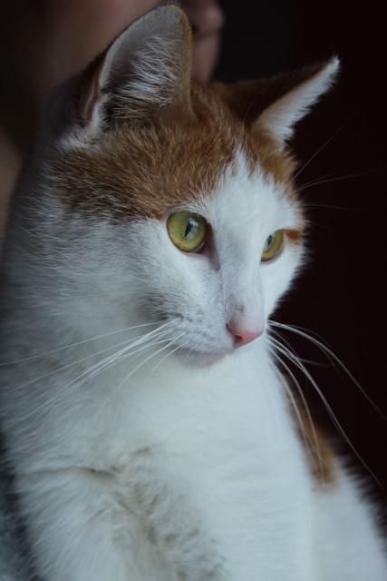 Доброе утро леночка. Таки пожалуйста. Открытка классной девчонке. Доброе утро по еврейски. Марс прикол.