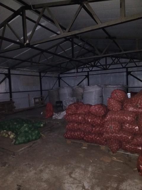 Т кг ц. 2000т в кг. 2000т в кг. Тонны центнеры килограммы. Перевести граммы в килограммы.