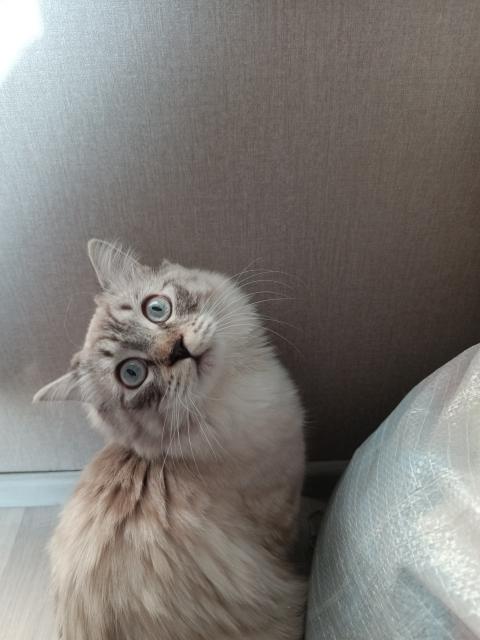 Ночью много раз хожу в туалет. Постоянно хочется в туалет по маленькому. Почему я просыпаюсь ночью. Частое хождение в туалет. Почему нельзя долго терпеть в туалет.