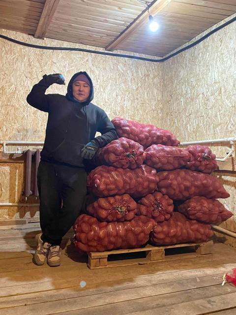 Продаю картошку доставка бесплатно