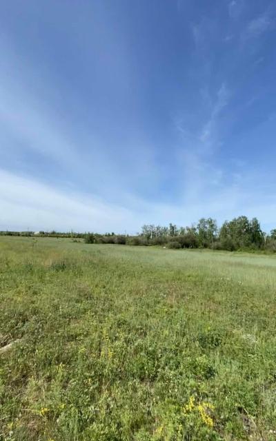 терлоева марха. махашева марха уматхановна. с днём рождения марха. марха сумбулатова. марха бидаева.