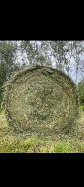 Сено в рулонах Амгинский район