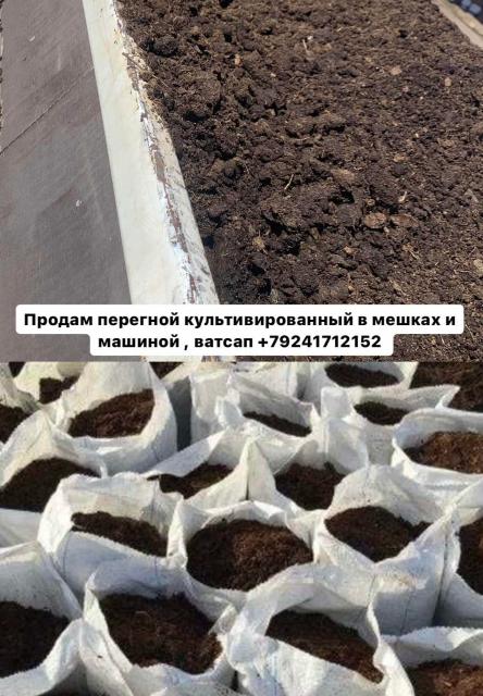 Перегной